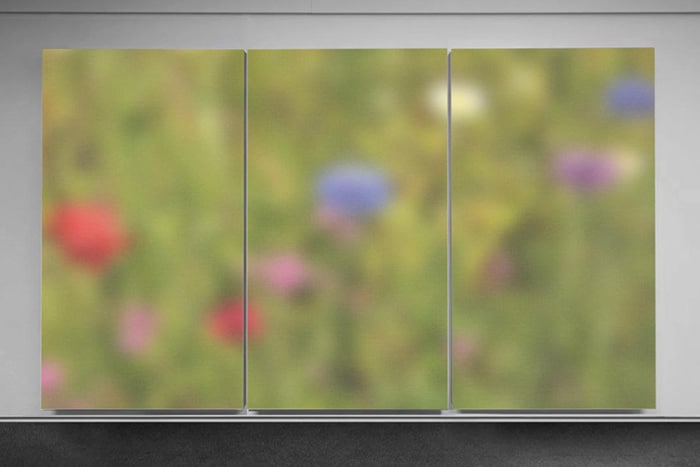 Wild meadow 7