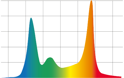 RBG chart