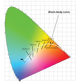 body curve shape